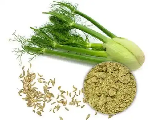 Is Fennel Seed Extract Powder Good For Skin?